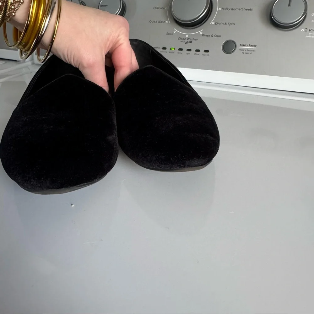 Birdies The Starling in Black Velvet Loafer - Picture 6 of 16